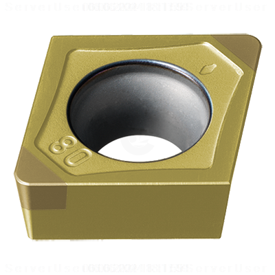 BF-CCGT09T304TS2 BC8210